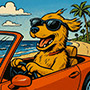 Create your own dog driving along the beach meme template online