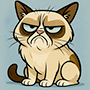 Unamused cat meme